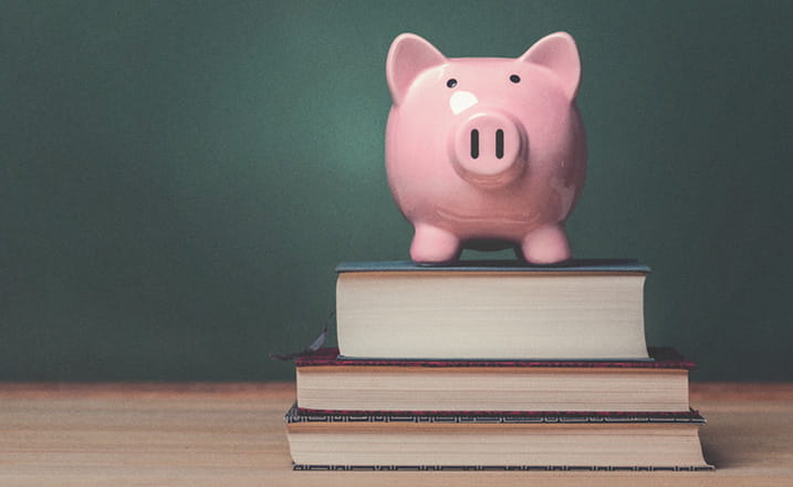 Pig on books