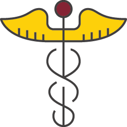 The DNP Doctoral Student Advisory Group