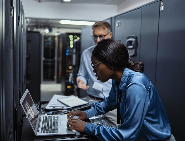 Data Analysts at work