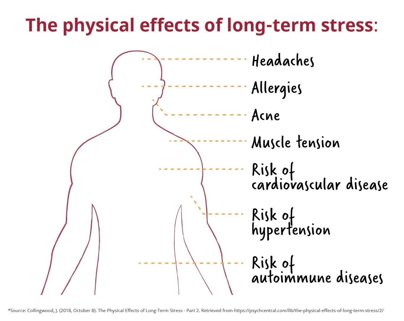 Graphic showing the physical affects of long-term stress.